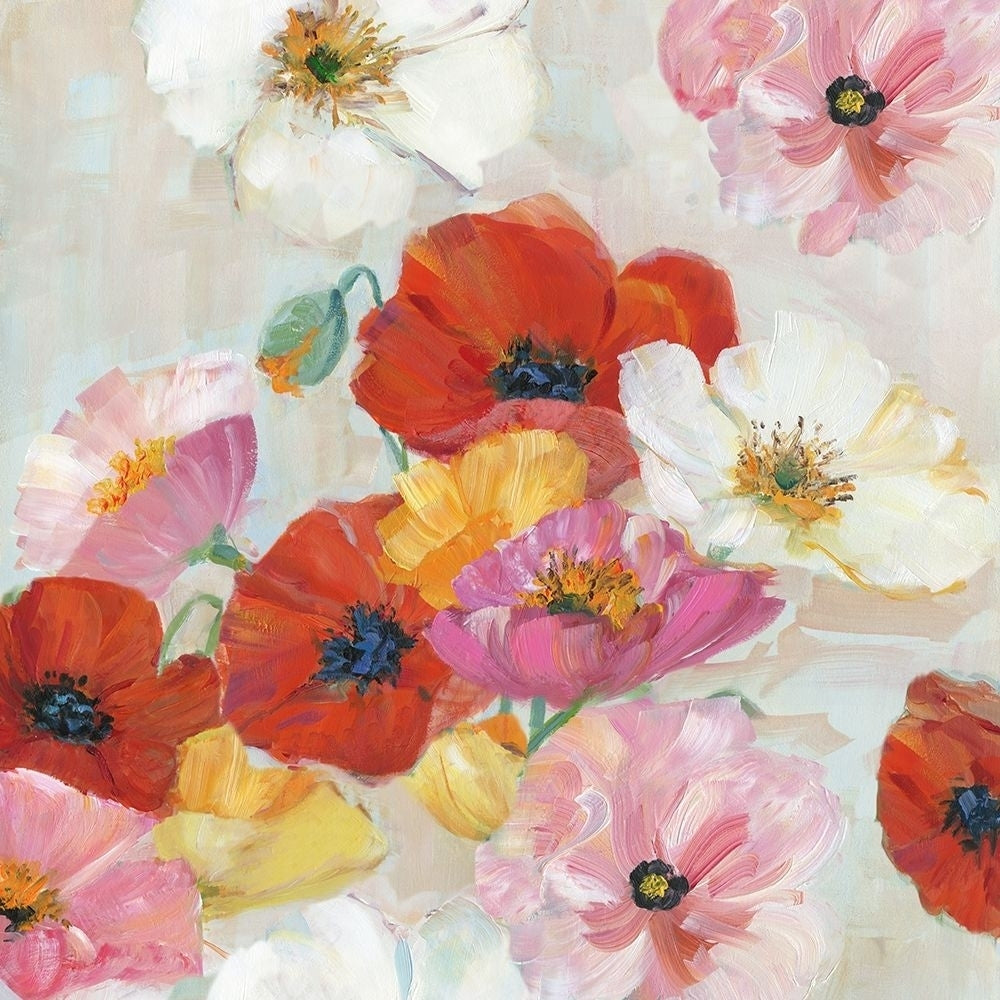 Confetti Flowers II Poster Print by Sally Swatland-VARPDX41025 Image 1