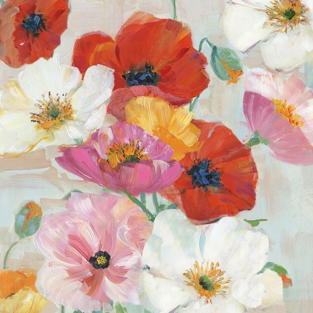 Confetti Flowers I Poster Print by Sally Swatland-VARPDX41024 Image 1