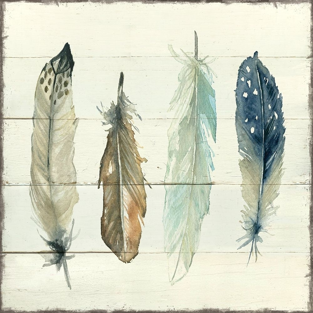 Shiplap Feathers II Poster Print by Carol Robinson-VARPDX41150 Image 1