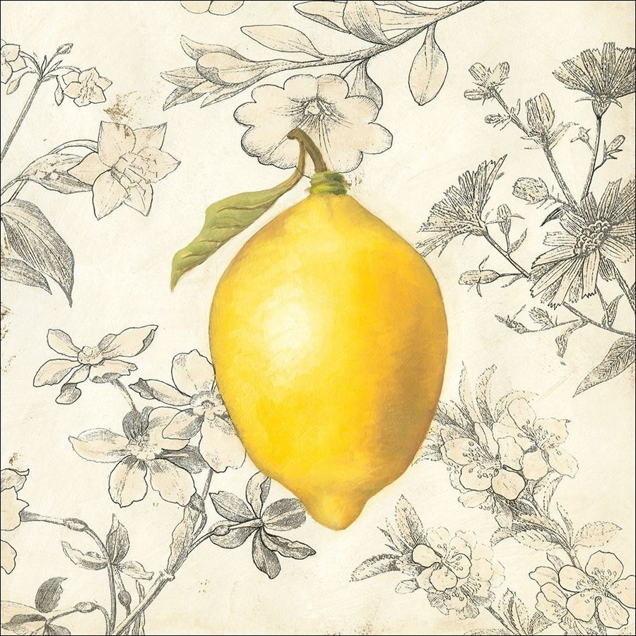 Lemon and Botanicals Poster Print - Megan Meagher-VARPDX41697D Image 1