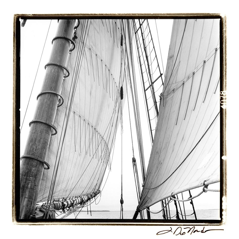 Undersail II Poster Print - Laura DeNardo-VARPDX41881D Image 1