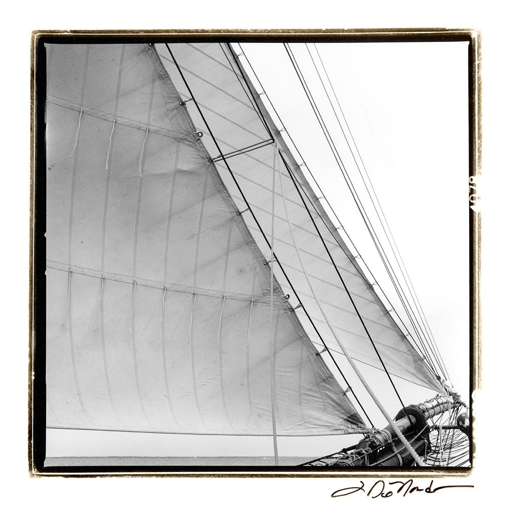 Undersail I Poster Print - Laura DeNardo-VARPDX41880D Image 1