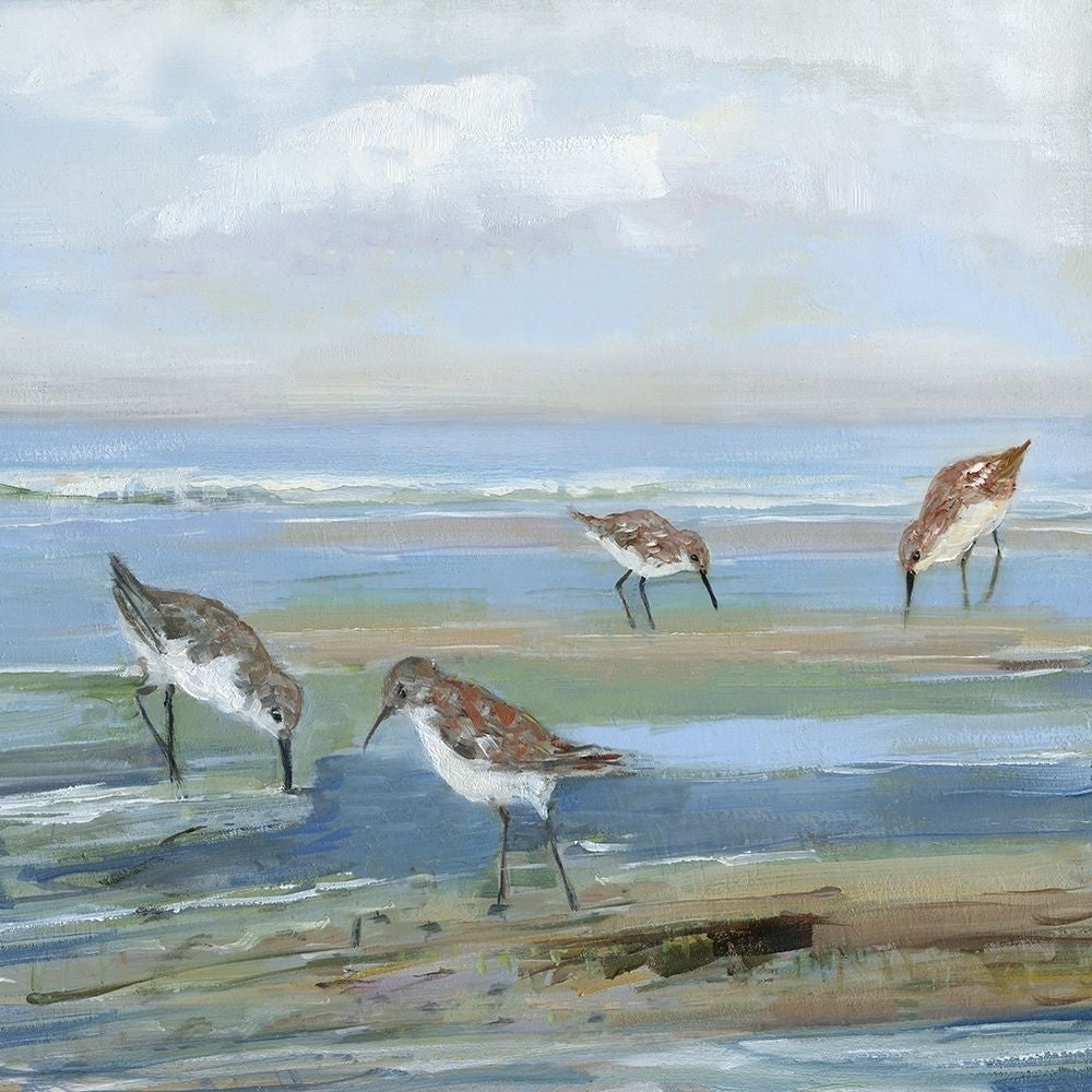 Seabird Beach III by Sally Swatland-VARPDX44068 Image 1