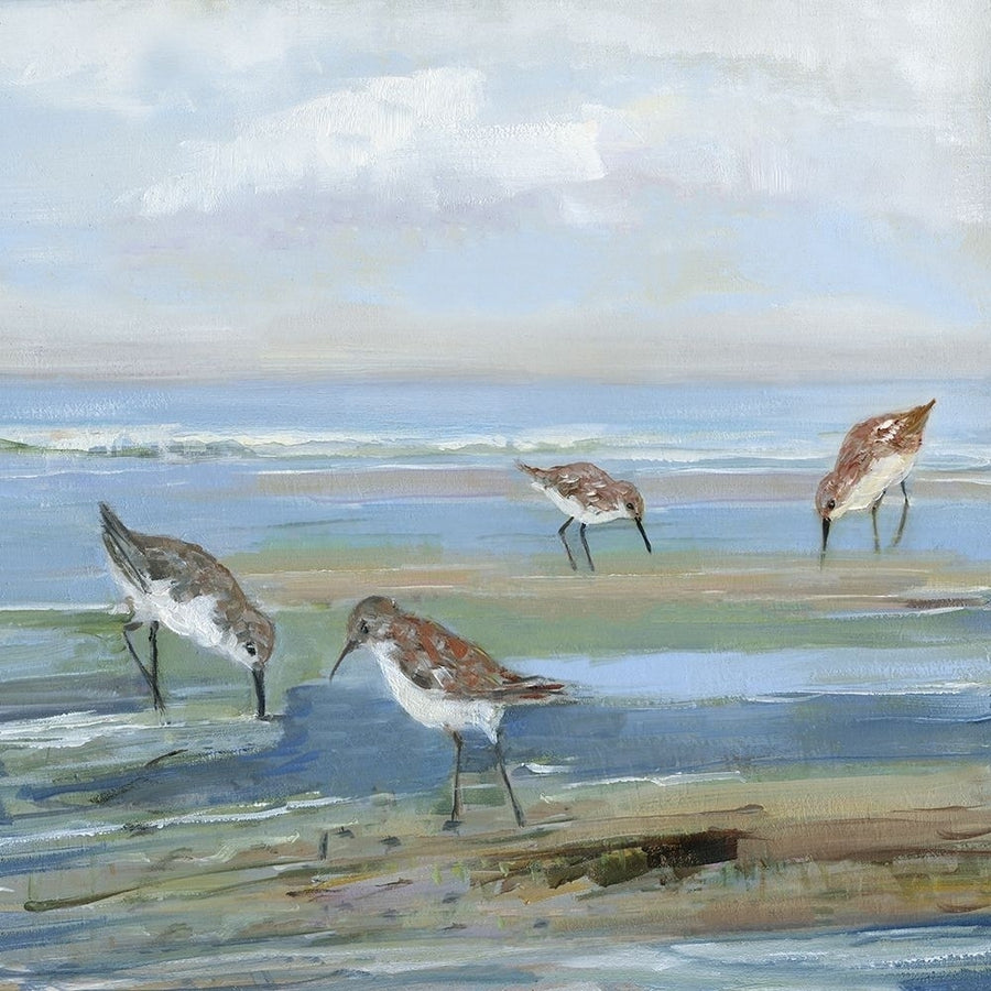 Seabird Beach III by Sally Swatland-VARPDX44068 Image 1