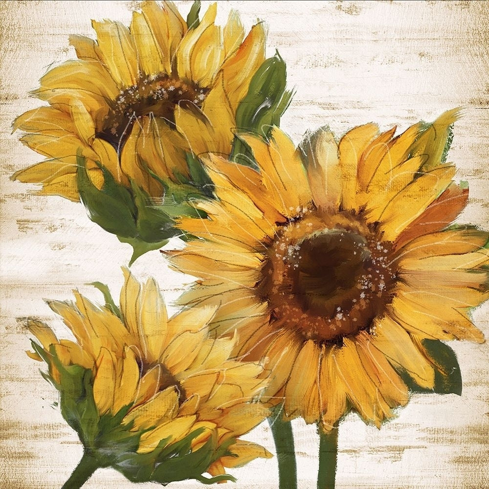 Sunflower Summer I by Conrad Knutsen-VARPDX44006 Image 1