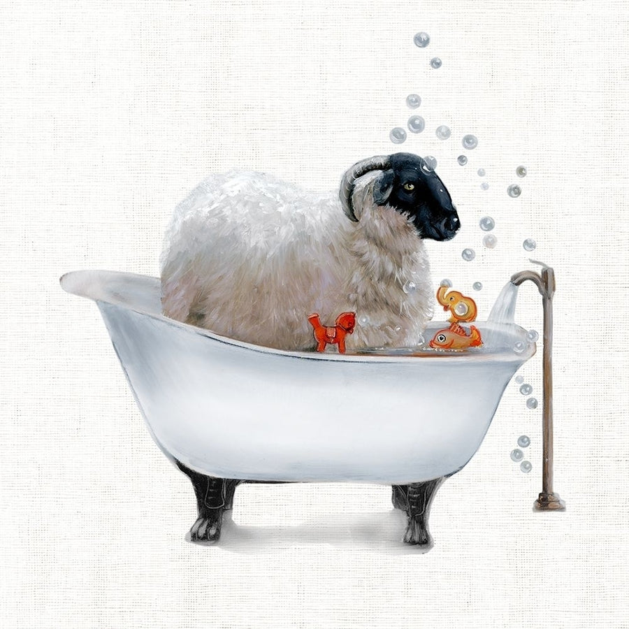 Farm Tub Sheep by Donna Brooks-VARPDX44083 Image 1