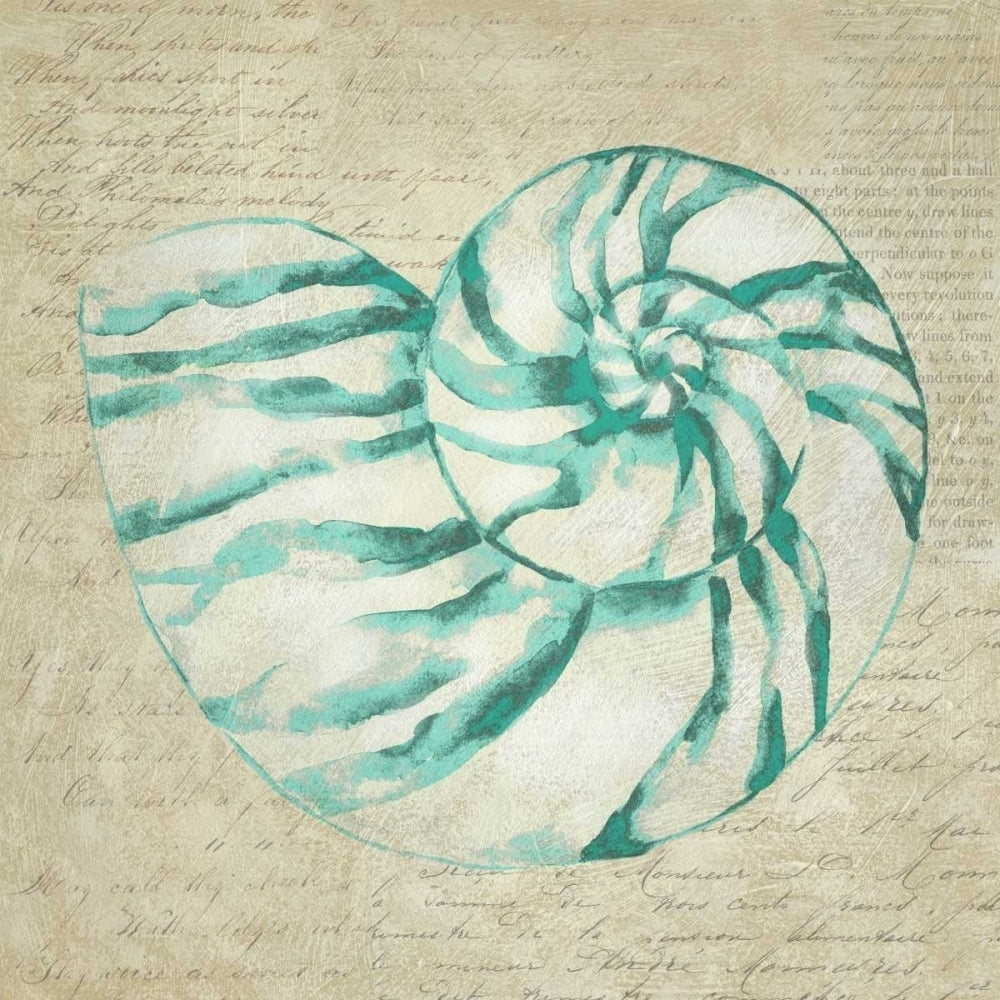 Seafoam Shell I Poster Print - Chariklia Zarris-VARPDX105754GG Image 1