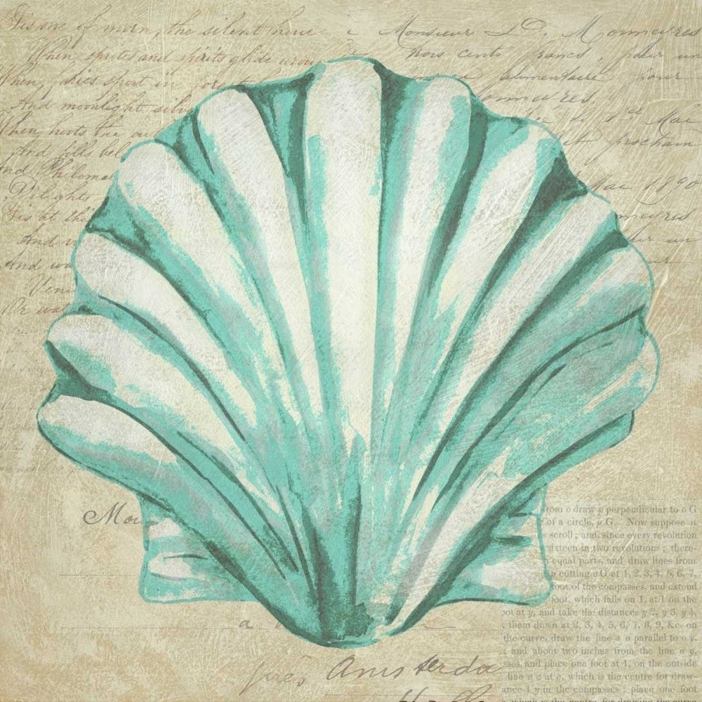 Seafoam Shell II Poster Print - Chariklia Zarris-VARPDX105755GG Image 1