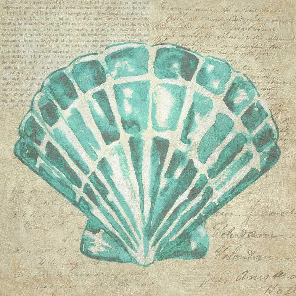 Seafoam Shell III Poster Print - Chariklia Zarris-VARPDX105756GG Image 1