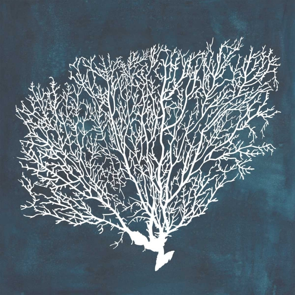 Inverse Sea Fan II Poster Print - Grace Popp-VARPDX105930GG Image 1