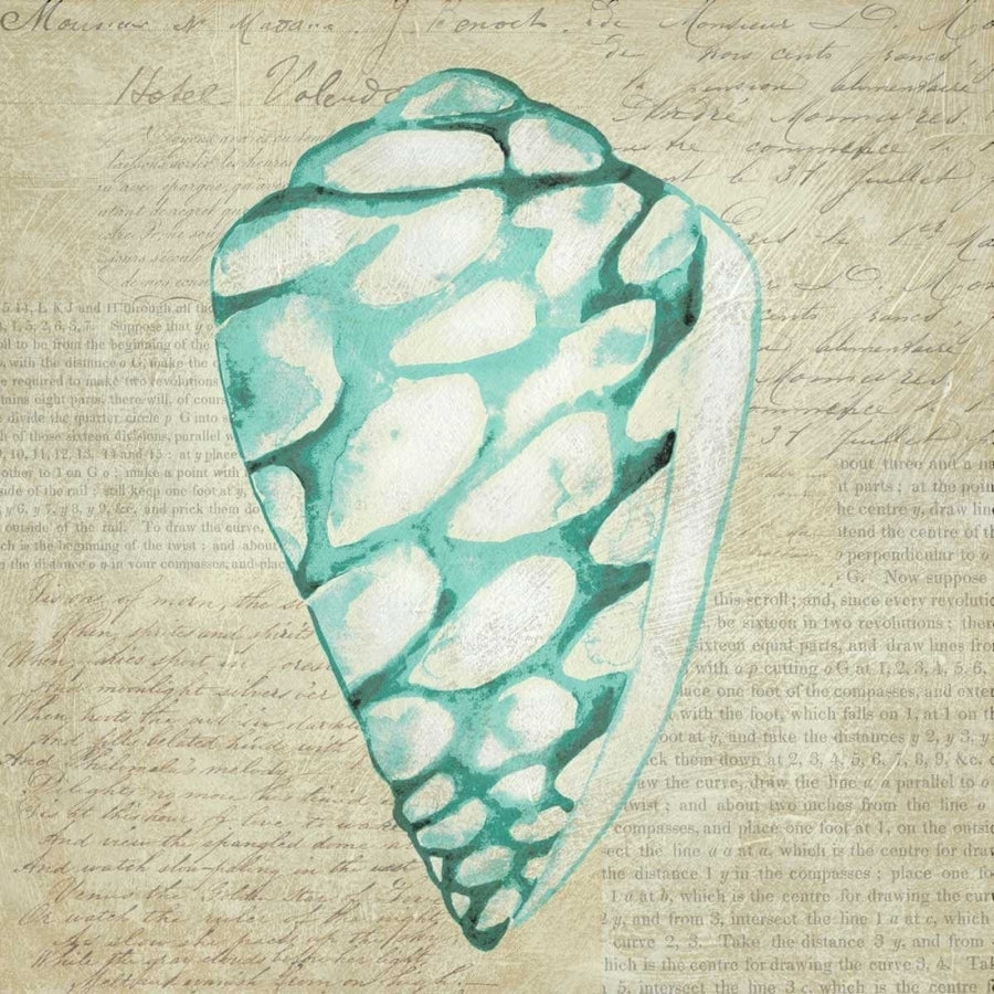 Seafoam Shell IV Poster Print - Chariklia Zarris-VARPDX105757GG Image 1