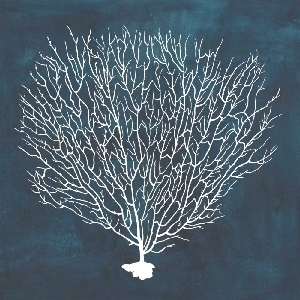 Inverse Sea Fan IV Poster Print - Grace Popp-VARPDX105932GG Image 1