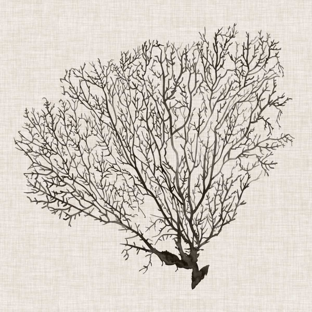 Shadow Sea Fan IV Poster Print - Grace Popp-VARPDX106090GG Image 1