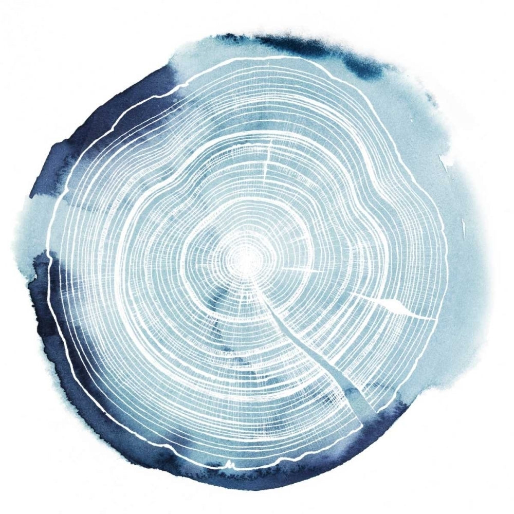 Tree Ring Overlay III Poster Print - Grace Popp-VARPDX106865GG Image 1