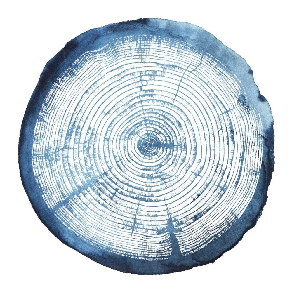 Tree Ring Overlay I Poster Print - Grace Popp-VARPDX106863GG Image 1