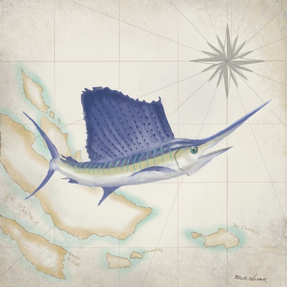 Sailfish Map II Poster Print - Rick Novak-VARPDX107064GG Image 1