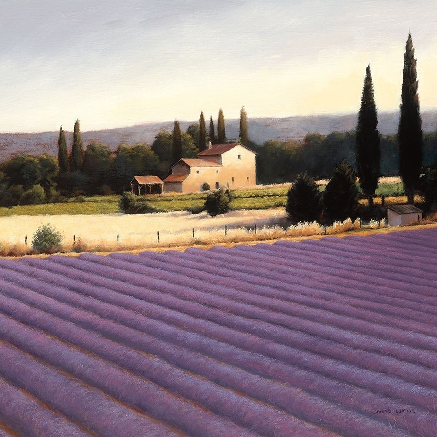 Lavender Fields II Crop Poster Print - James Wiens-VARPDX10739 Image 1