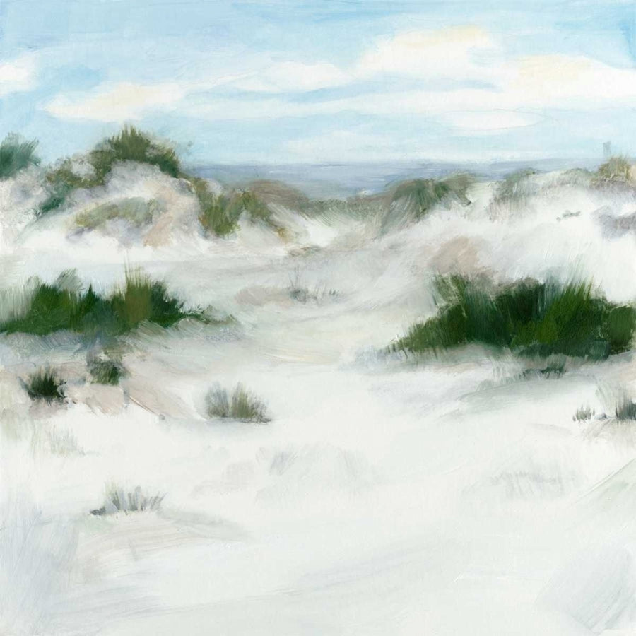 White Sands II Poster Print - Megan Meagher-VARPDX109425FN Image 1