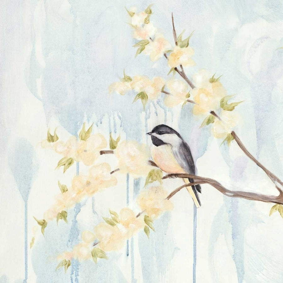 Spring Chickadees I Poster Print - Jade Reynolds-VARPDX109997GG Image 1