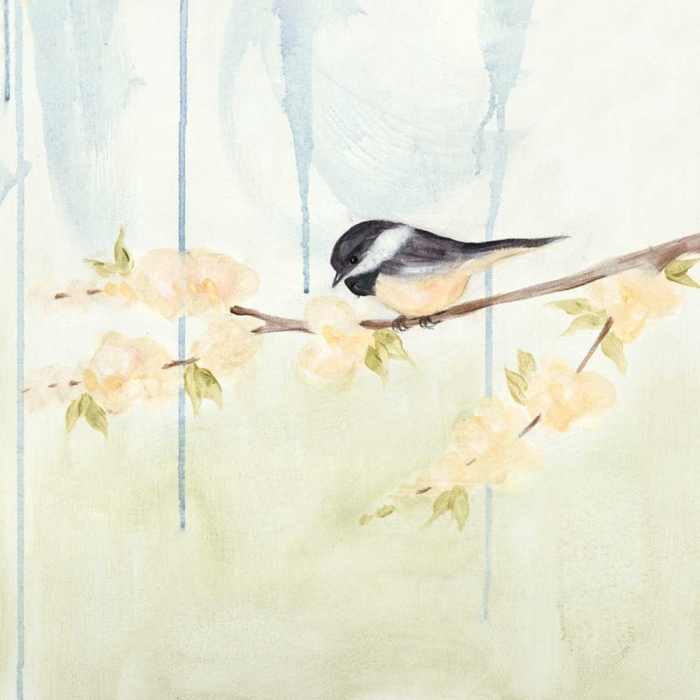 Spring Chickadees III Poster Print - Jade Reynolds-VARPDX109999GG Image 1