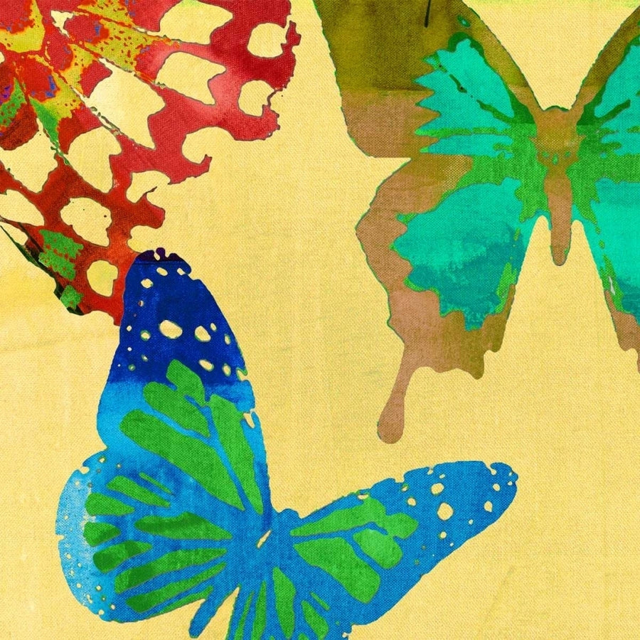 Saturated Butterflies III Poster Print - Sisa Jasper-VARPDX112509GG Image 1