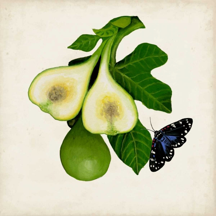 Fruit with Butterflies III Poster Print - Naomi McCavitt-VARPDX113109Z Image 1