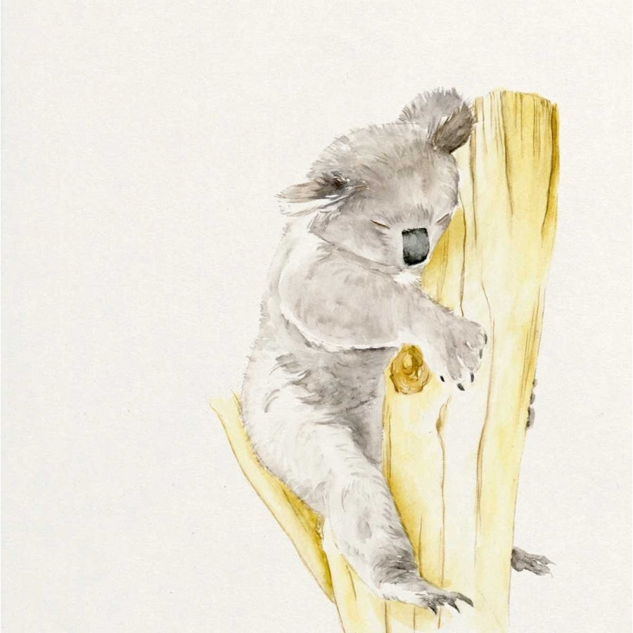 Baby Koala I Poster Print - Melissa Wang-VARPDX113508Z Image 1