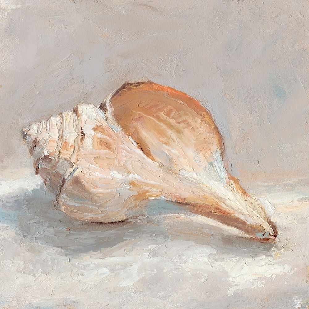 Impressionist Shell Study III Poster Print - Ethan Harper-VARPDX114611Z Image 1