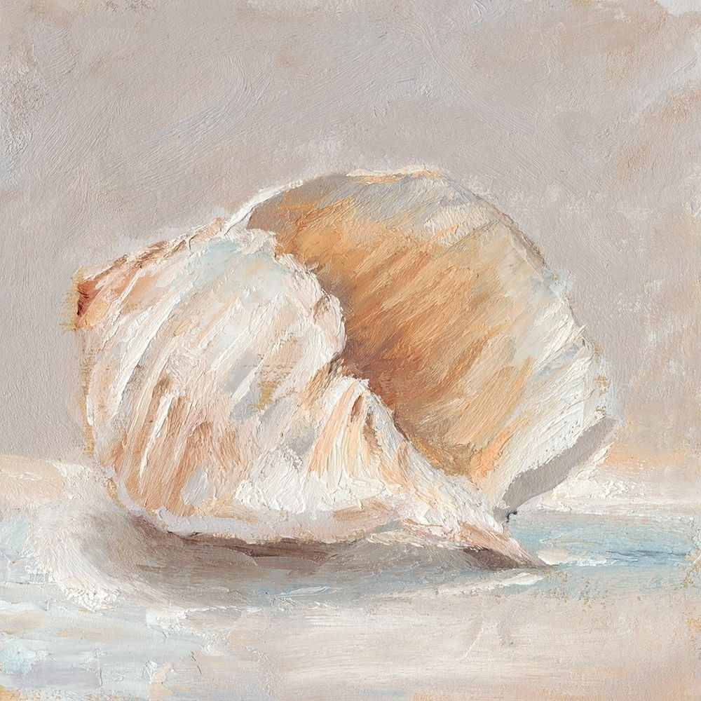 Impressionist Shell Study IV Poster Print - Ethan Harper-VARPDX114612Z Image 1