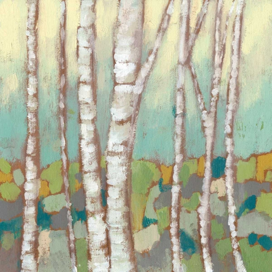 Kaleidoscope Birches II Poster Print - Jennifer Goldberger-VARPDX118528Z Image 1