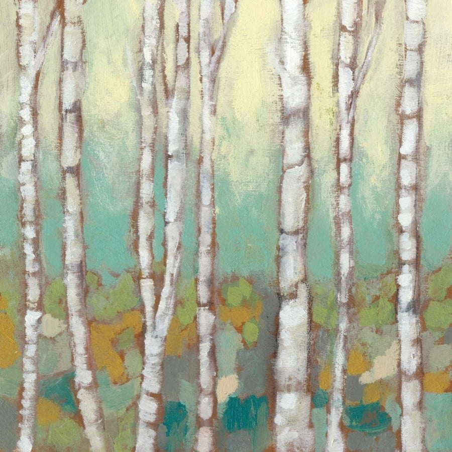 Kaleidoscope Birches I Poster Print - Jennifer Goldberger-VARPDX118527Z Image 1