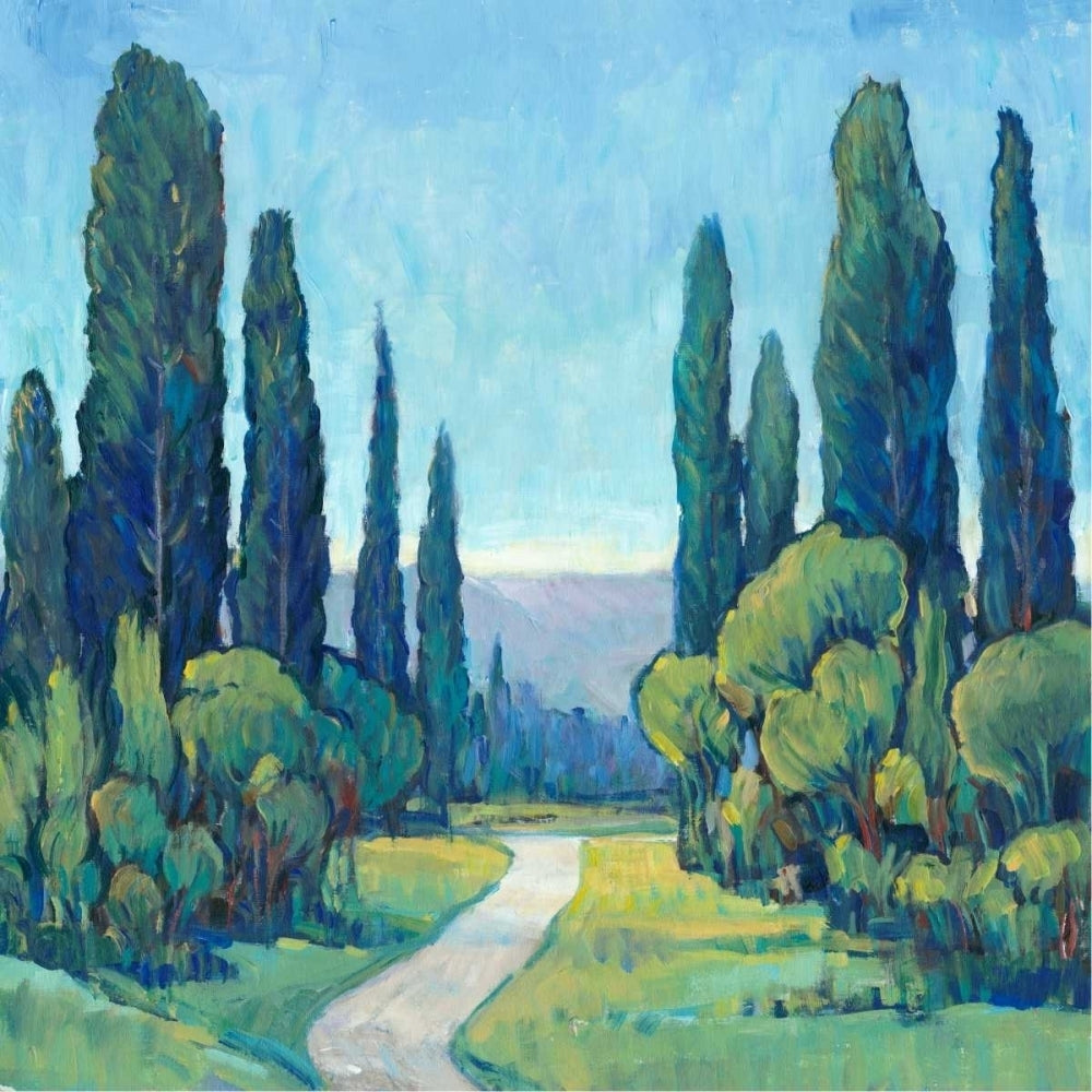 Cypress Path I Poster Print - Tim OToole-VARPDX119346FN Image 1