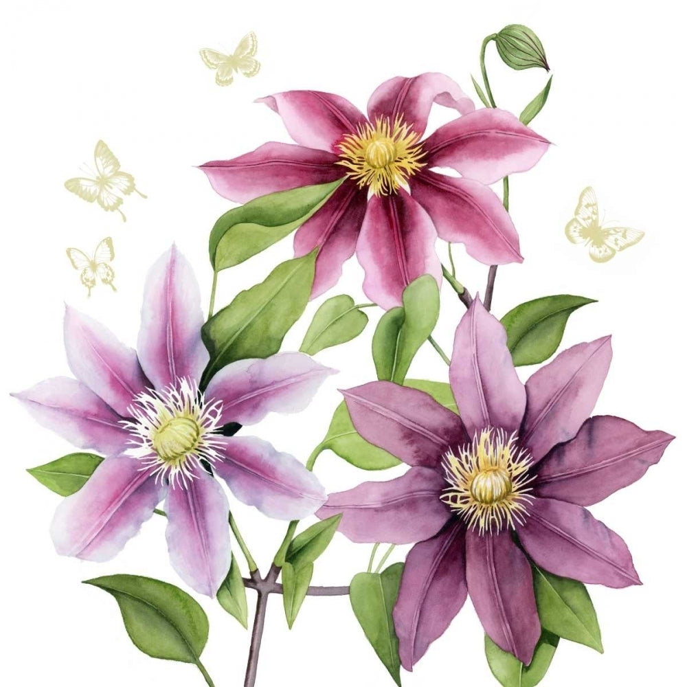 Clematis Climb II Poster Print - Grace Popp-VARPDX119914GG Image 1