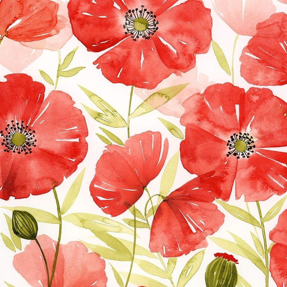 Poppy Screen II Poster Print - Grace Popp-VARPDX122387GG Image 1