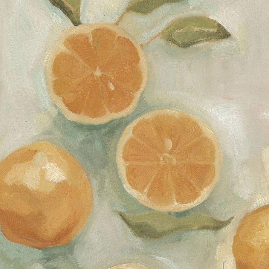 Citrus Study in Oil I Poster Print - Emma Scarvey-VARPDX124806Z Image 1