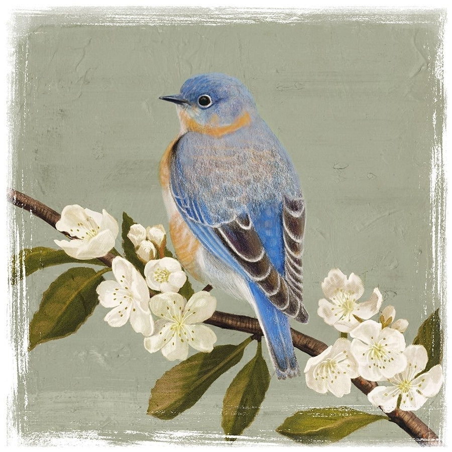 Bluebird Branch II Poster Print - Victoria Borges-VARPDX124838GG Image 1