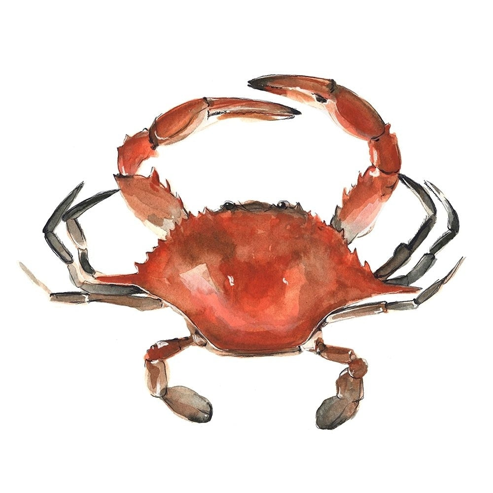 Watercolor Crab I Poster Print - Emma Scarvey-VARPDX126196Z Image 1