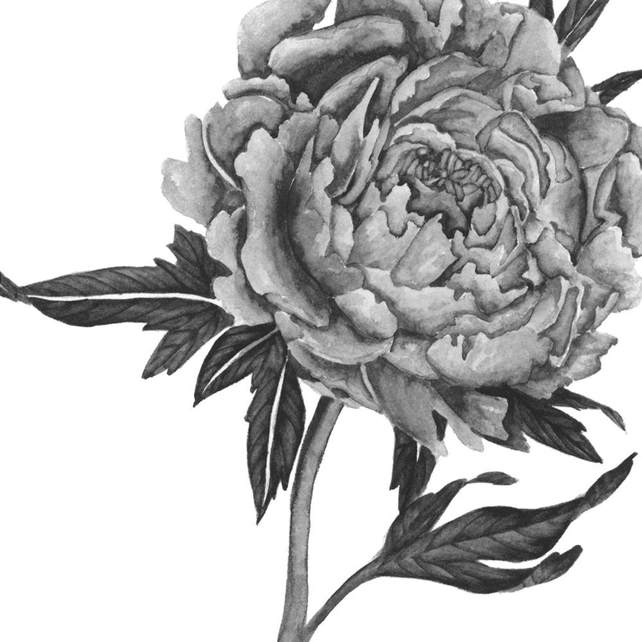 Flowers in Grey II Poster Print - Melissa Wang-VARPDX126805GG Image 1