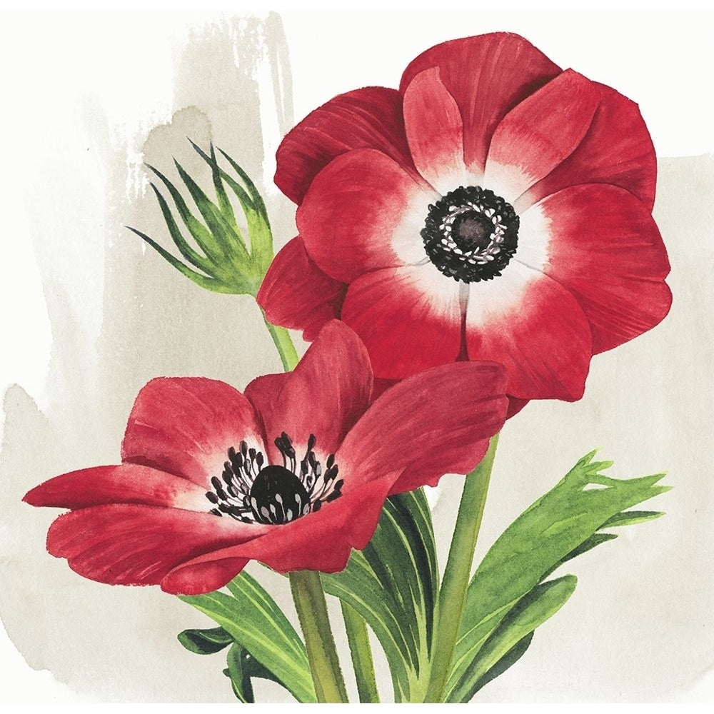 Crimson Anemones II Poster Print - Grace Popp-VARPDX128614GG Image 1