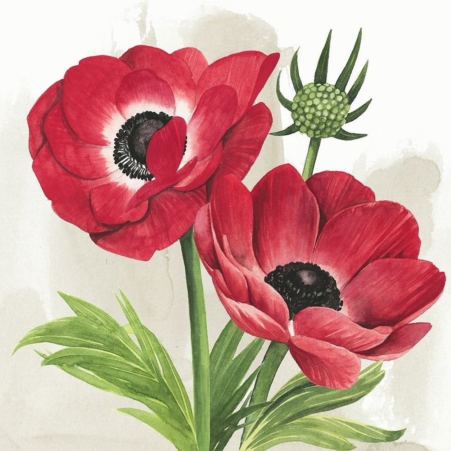 Crimson Anemones I Poster Print - Grace Popp-VARPDX128613GG Image 1