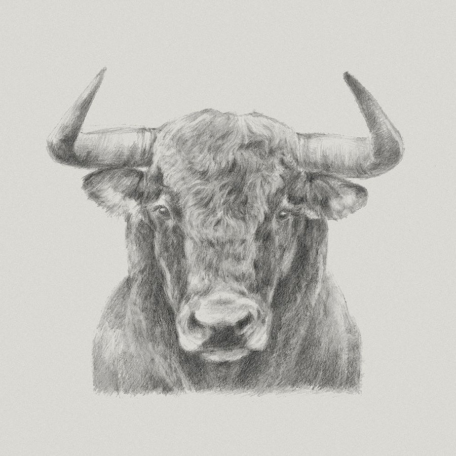 Black and White Bull Poster Print - Ethan Harper-VARPDX129123Z Image 1