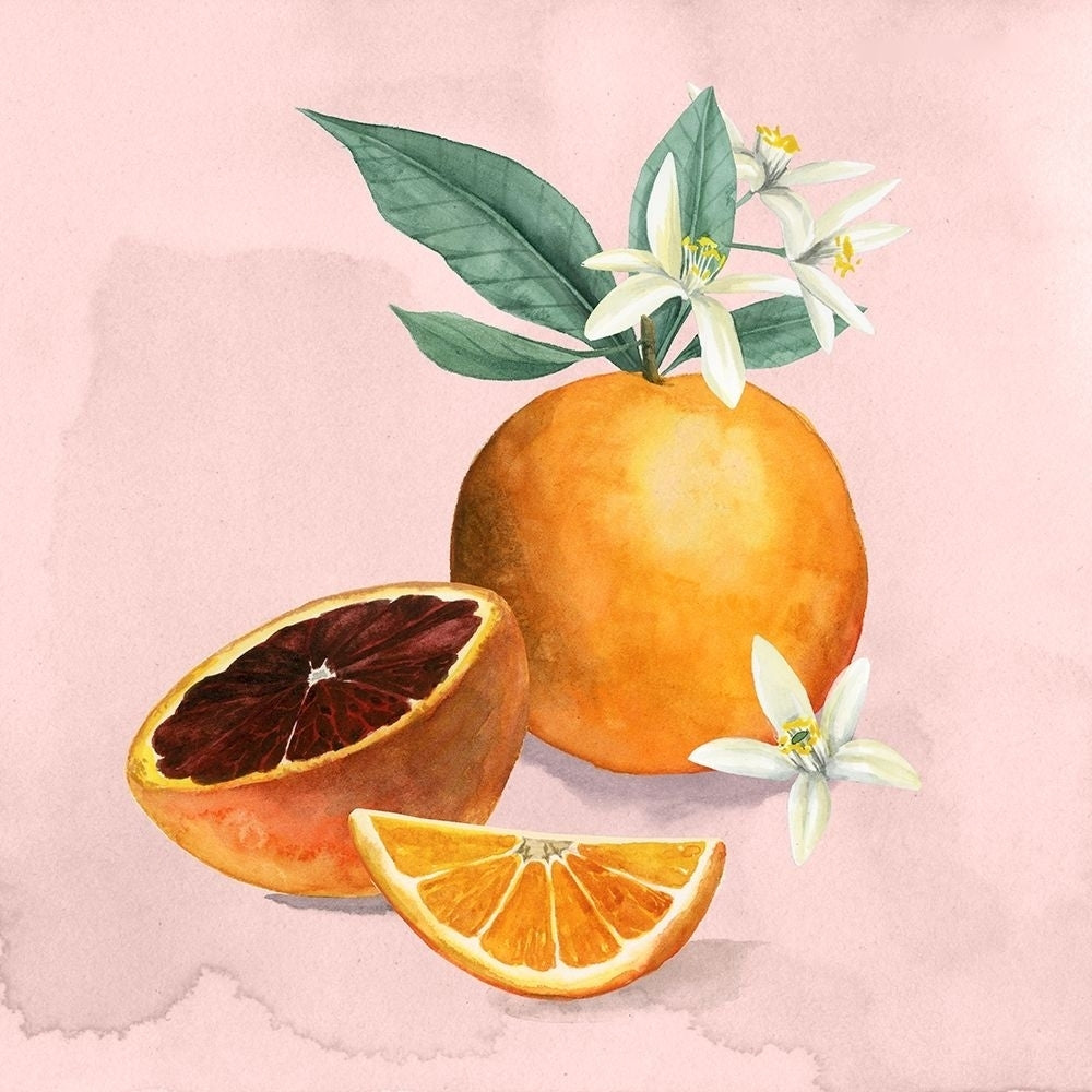 Orange Blossom I Poster Print - Grace Popp-VARPDX129679GG Image 1