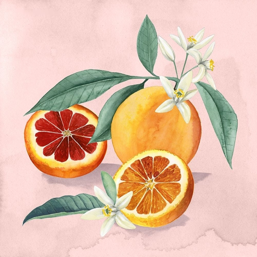 Orange Blossom II Poster Print - Grace Popp-VARPDX129680GG Image 1