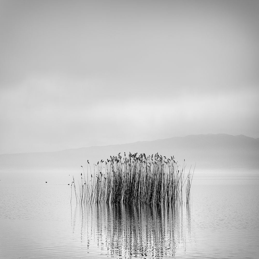 Morning Silence Poster Print - George Digalakis-VARPDX1310956 Image 1