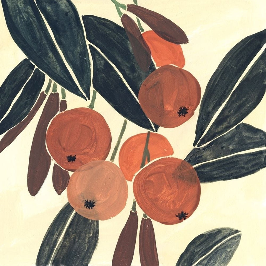 Kumquat I Poster Print - Melissa Wang-VARPDX132859Z Image 1