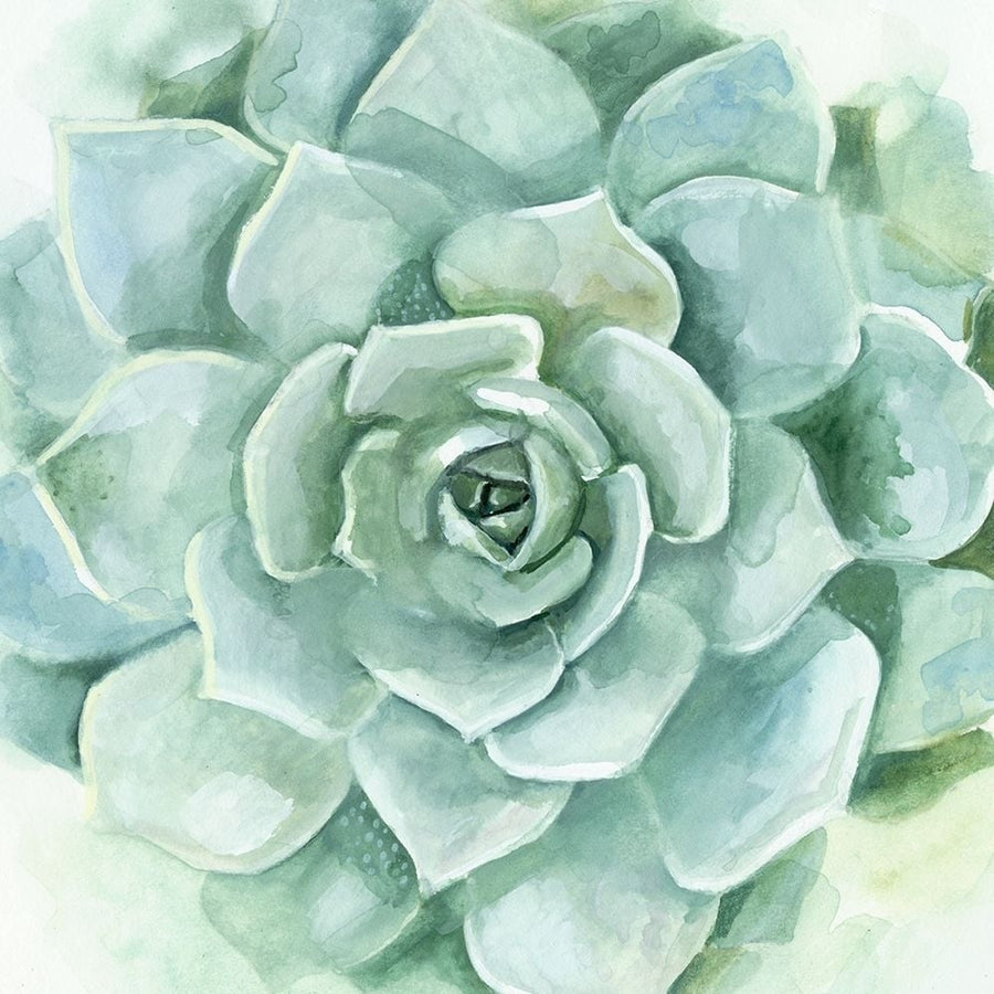 Verdant Succulent I Poster Print - Victoria Borges-VARPDX134585GG Image 1