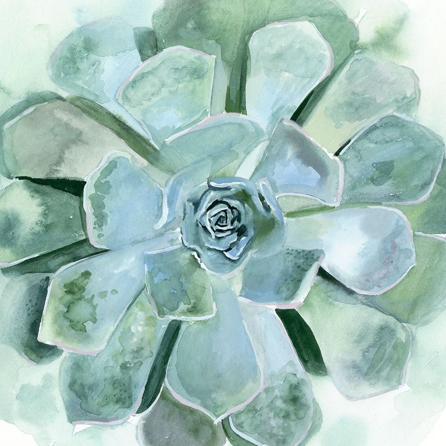 Verdant Succulent III Poster Print - Victoria Borges-VARPDX134587GG Image 1