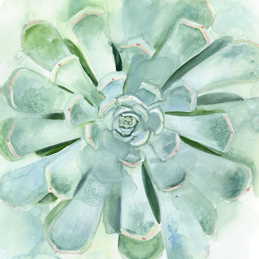 Verdant Succulent IV Poster Print - Victoria Borges-VARPDX134588GG Image 1