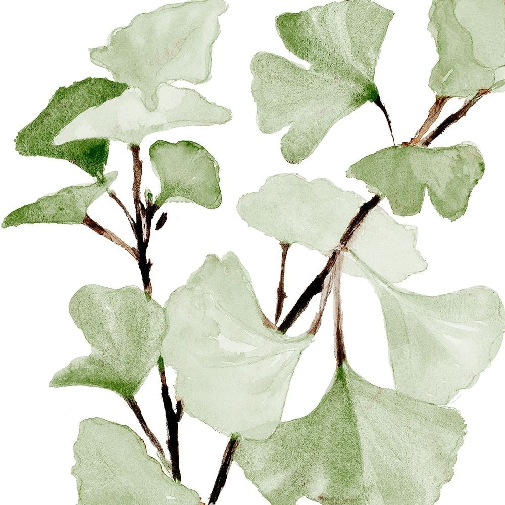 Mint Ginkgo Stems I Poster Print - Lanie Loreth-VARPDX13602H Image 1