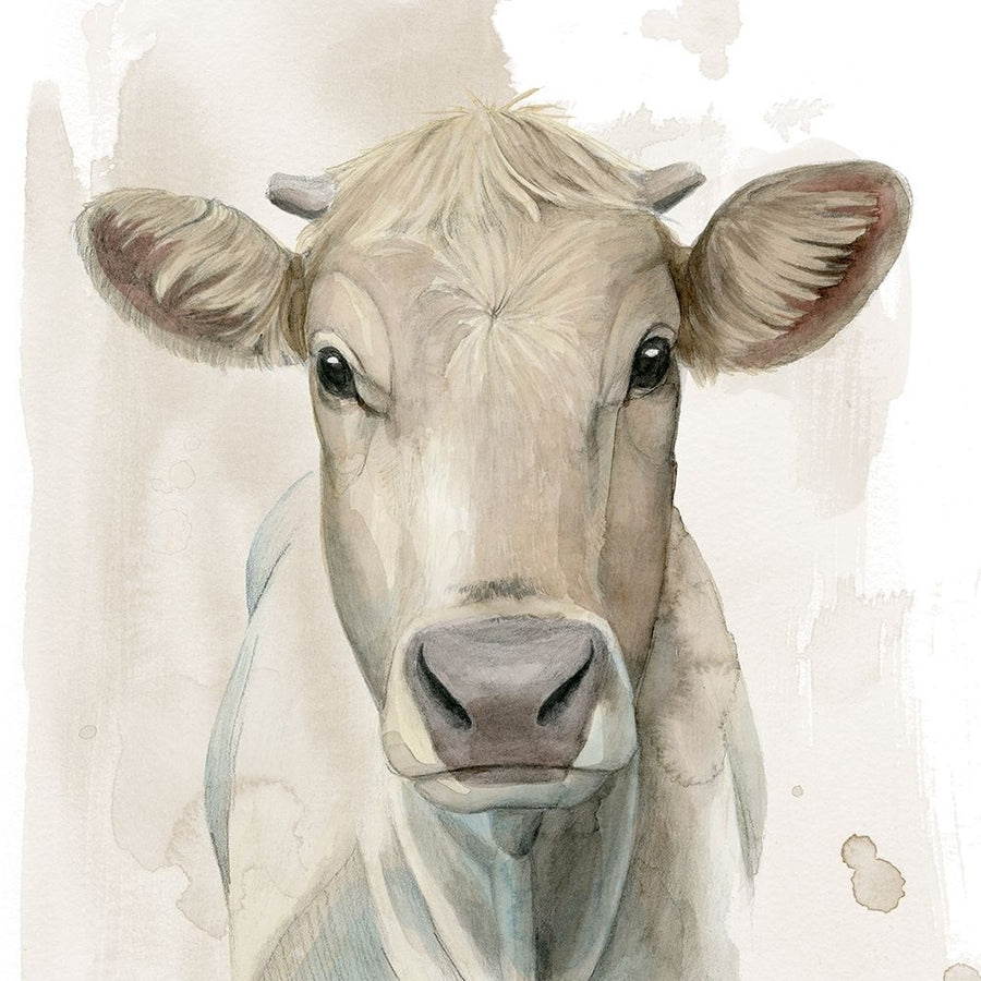 Prairie Bovine I Poster Print - Grace Popp-VARPDX135966Z Image 1